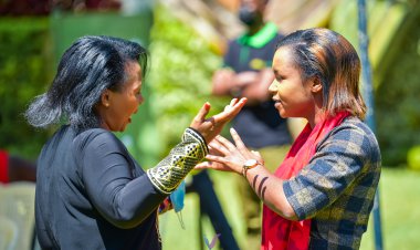 Learn User Interface and User Experience